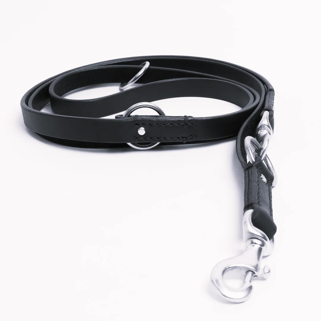 Strong MF leash for dogs