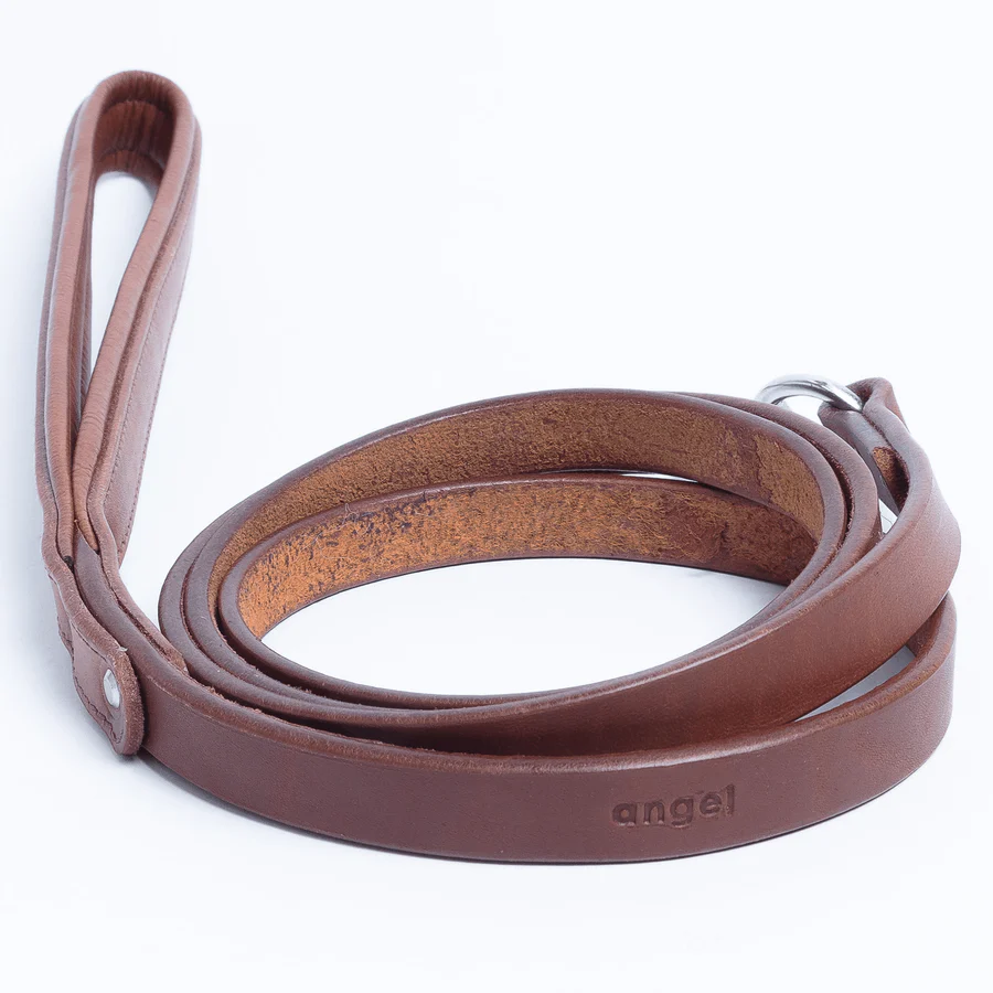 Leather leashes