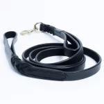 Leather Dallas Leash