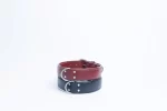 soft padded leather Dallas Collar