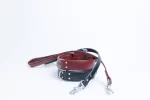 soft padded leather Dallas dog Collar