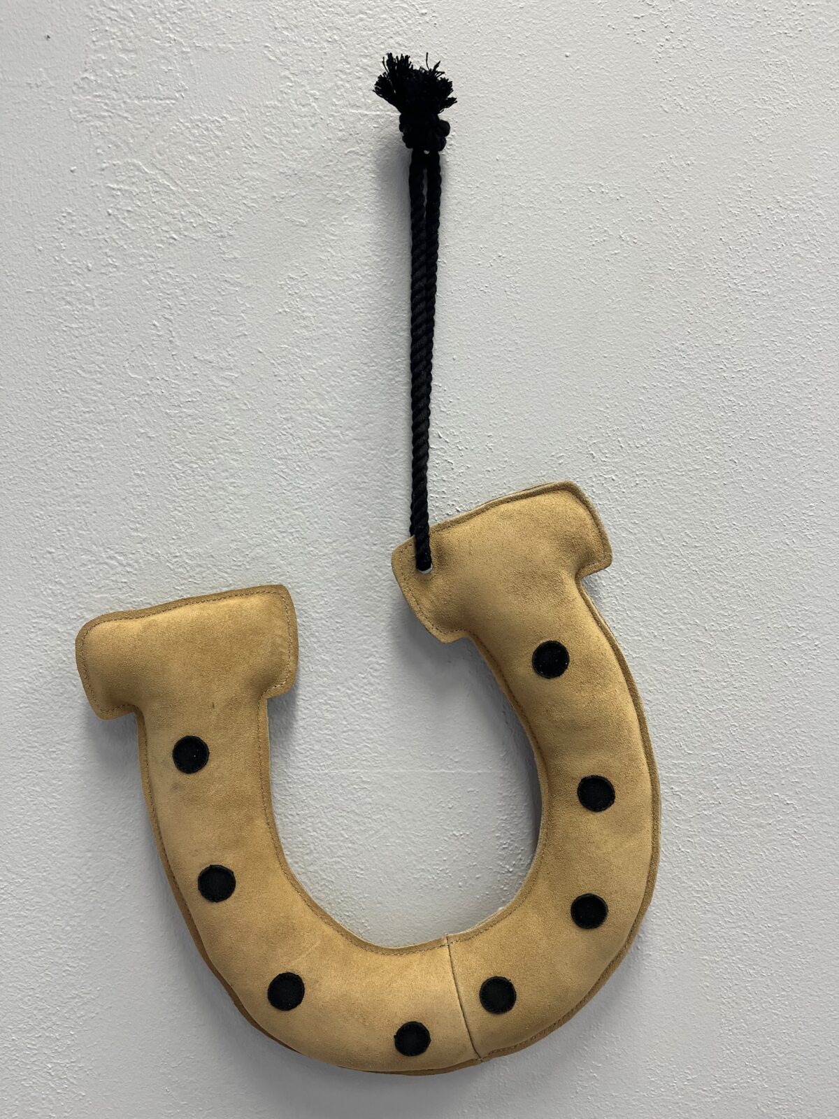 Horseshoe Hack Toy